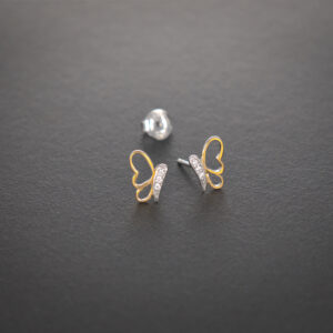 L’envol scintillant